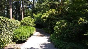 Demoines Forest with Alli 2019