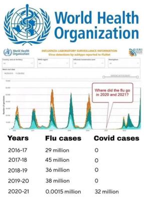 flu