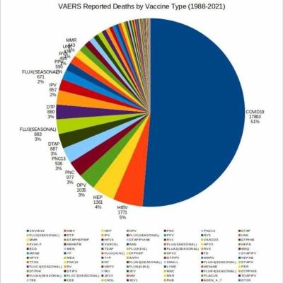vaers-reported-deaths-vaccine-type