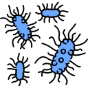 bluebacteria
